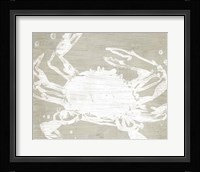 Weathered Crab II Framed Print