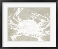 Weathered Crab II Fine Art Print