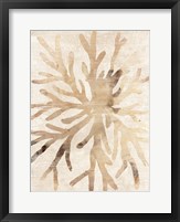 Parchment Coral II Framed Print