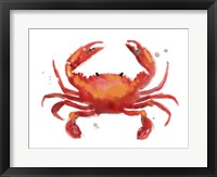 Crab Cameo I Framed Print