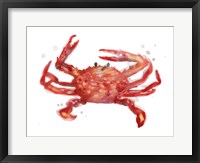 Crab Cameo IV Fine Art Print