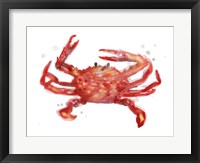 Crab Cameo IV Framed Print