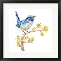 Springtime Songbirds I Framed Print