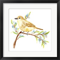 Springtime Songbirds II Fine Art Print