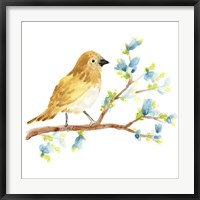 Springtime Songbirds III Fine Art Print