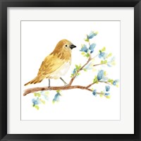 Springtime Songbirds III Fine Art Print