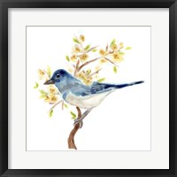 Springtime Songbirds IV Framed Print