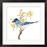 Springtime Songbirds IV Framed Print