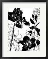 Monotype Garden II Framed Print