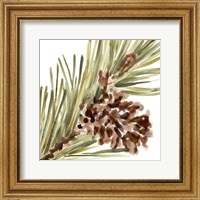 Simple Pine Cone I Fine Art Print
