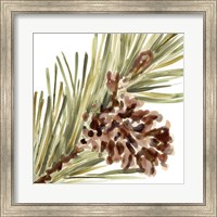 Simple Pine Cone I Fine Art Print