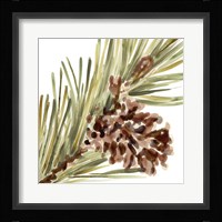 Simple Pine Cone I Framed Print