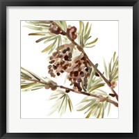 Simple Pine Cone II Fine Art Print