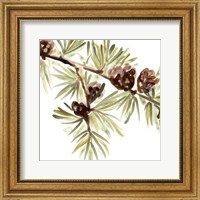 Simple Pine Cone III Fine Art Print