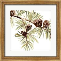 Simple Pine Cone III Fine Art Print