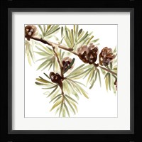 Simple Pine Cone III Framed Print