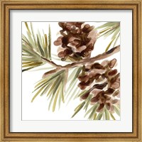 Simple Pine Cone IV Fine Art Print