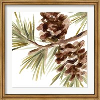 Simple Pine Cone IV Fine Art Print