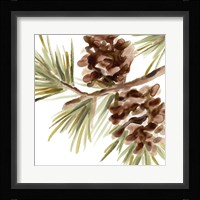 Simple Pine Cone IV Framed Print