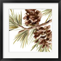 Simple Pine Cone IV Framed Print