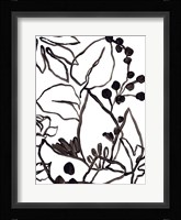 Tropical Outlines I Framed Print