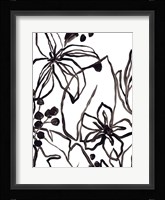 Tropical Outlines II Framed Print