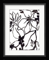 Tropical Outlines III Framed Print