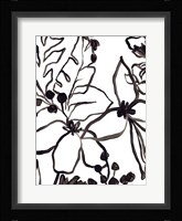 Tropical Outlines IV Framed Print