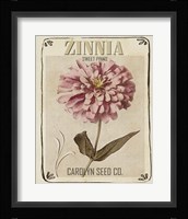 Vintage Seed Packets II Framed Print