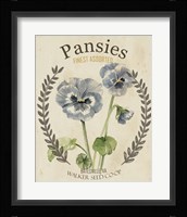 Vintage Seed Packets III Framed Print