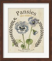 Vintage Seed Packets III Fine Art Print