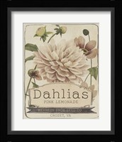 Vintage Seed Packets IV Framed Print