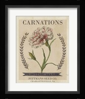 Vintage Seed Packets V Framed Print