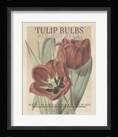 Vintage Seed Packets VI Fine Art Print