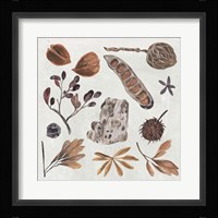 Small Things III Framed Print