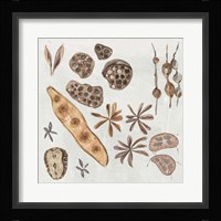 Small Things IV Framed Print