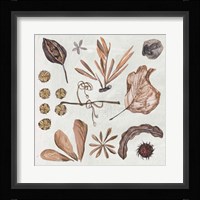 Small Things VI Framed Print