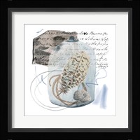 Message in a Bottle III Framed Print
