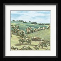 Hill Lines V Framed Print