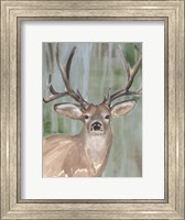 Roaming Buck I Fine Art Print