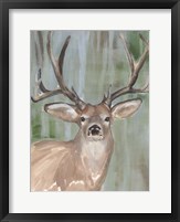 Roaming Buck I Framed Print