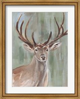 Roaming Buck II Fine Art Print