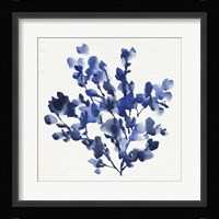 Cobalt Blossom I Framed Print