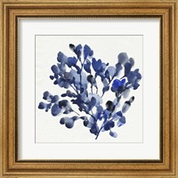 Cobalt Blossom II Fine Art Print