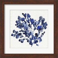 Cobalt Blossom II Fine Art Print
