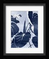 Plant Life III Framed Print