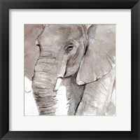 Elephant Grooves I Fine Art Print