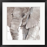 Elephant Grooves I Fine Art Print