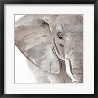 Elephant Grooves II Framed Print