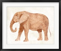 Elephant Wisdom I Fine Art Print